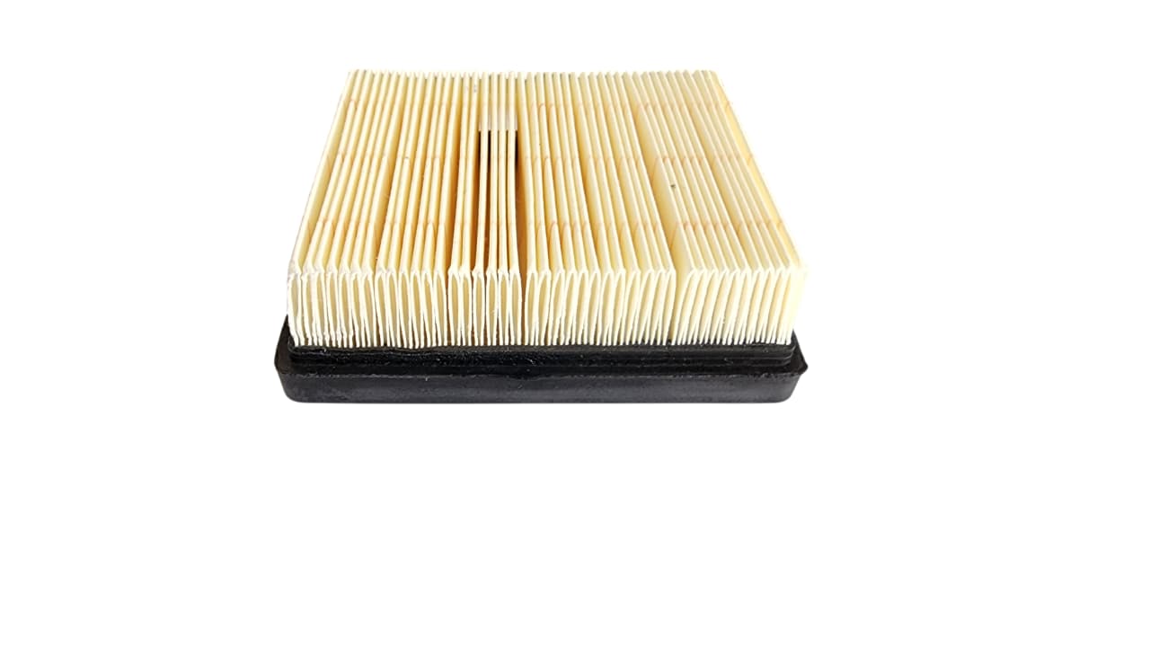 Filtro Aire Tvs Ronin 250