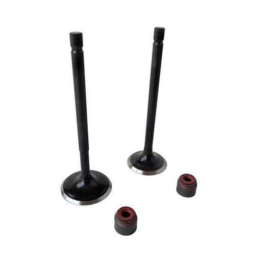 Jgo De Valvulas Y Sellos Tvs Rtr 180, Rtr 160 2v