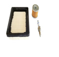 Kit de servicio TVS Ronin 250 NF040790 M1080540 N3012100