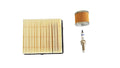 Kit de Servicio TVS Ronin 250